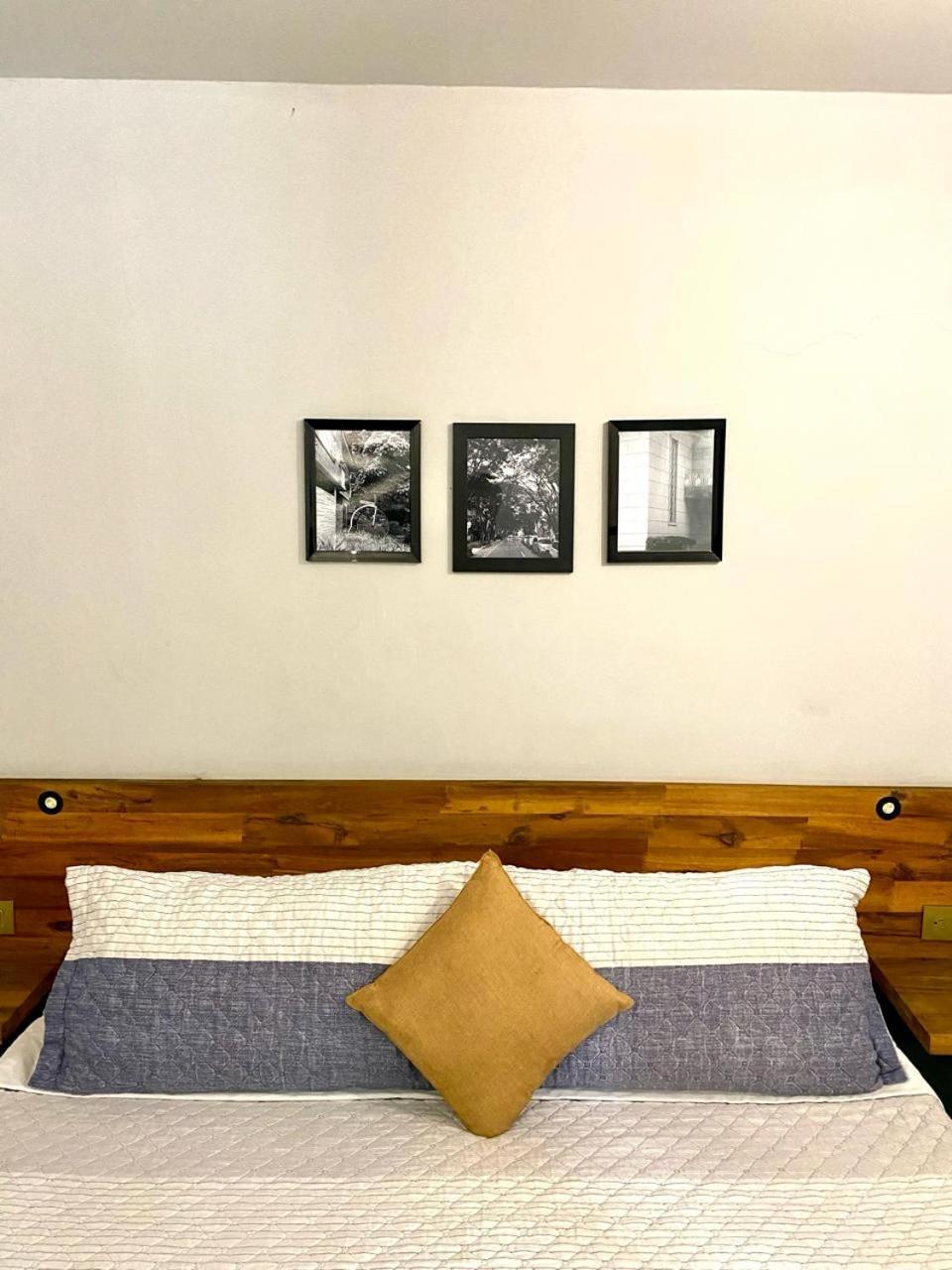 Casa Mosaiko Patio Bonito Otel Medellín Dış mekan fotoğraf